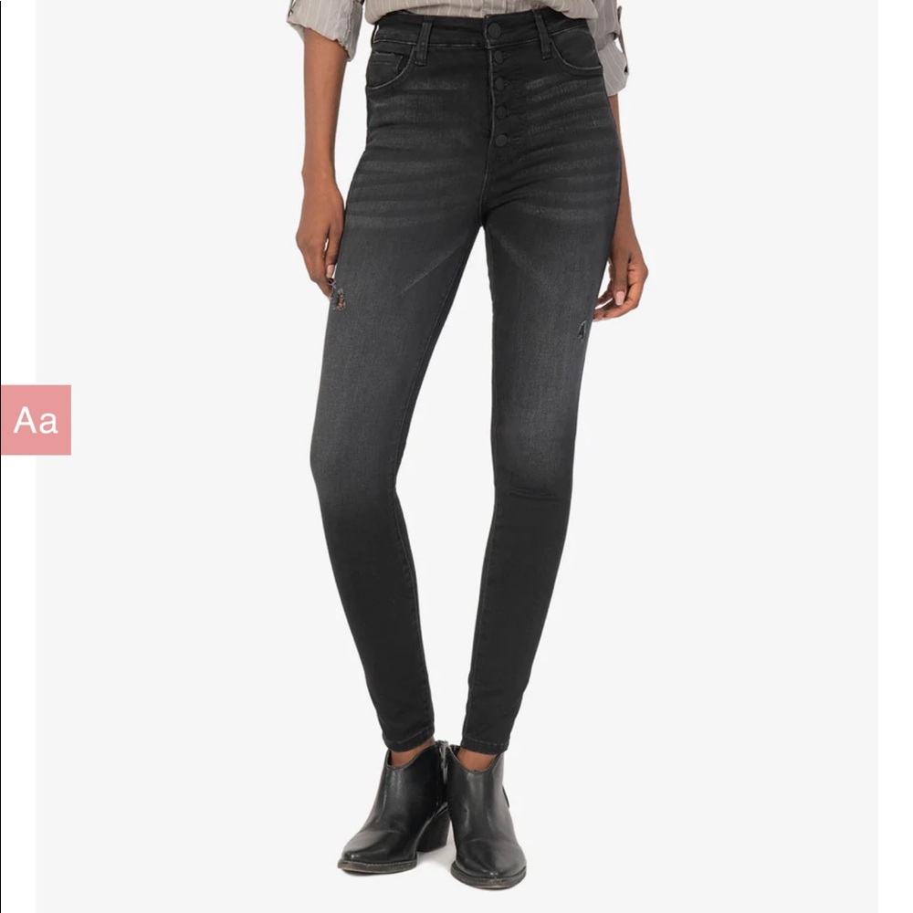 NWT Kut from the Kloth High Rise Mia Fab Ab Skinny - size 4 (enthused wash)